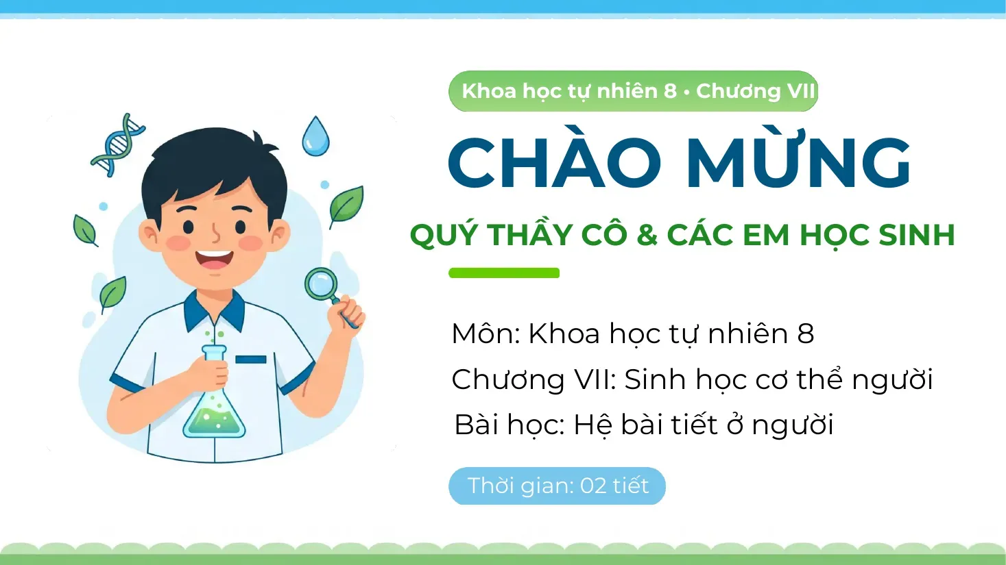 Khoa học tự nhiên Lớp 8 - Bài 35: Hệ bài tiết ở người