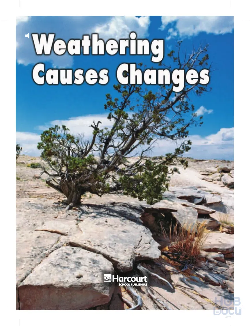 Weathering Causes Changes.pdf
