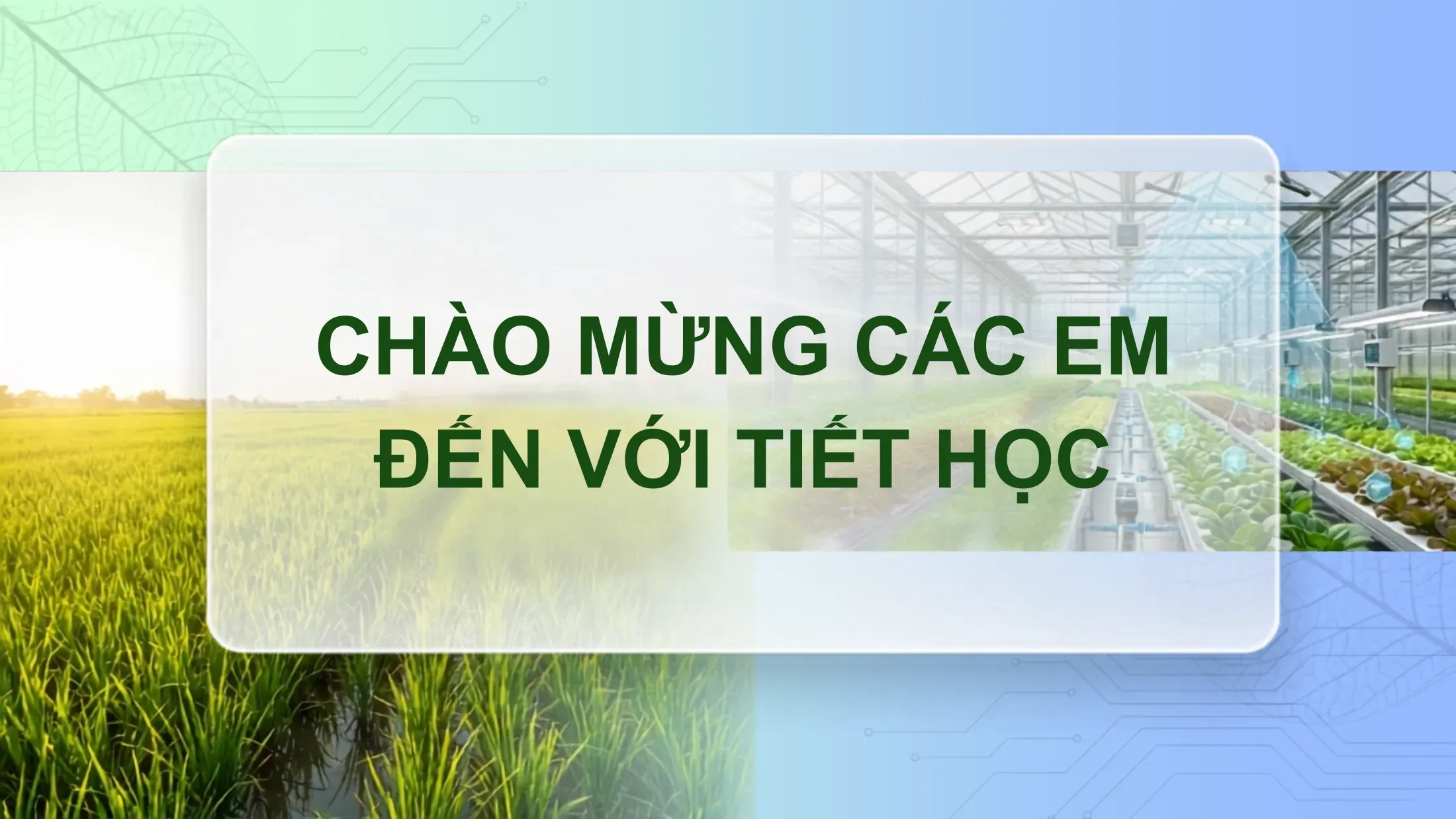 Công nghệ Lớp 7 - Bài 2: Cây trồng và các yếu tố chính trong trồng trọt