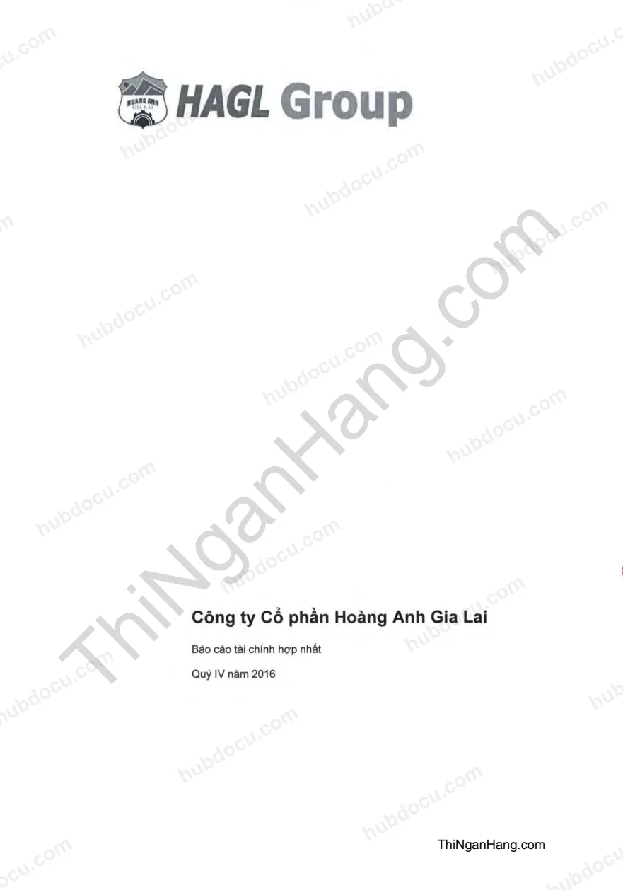 Báo cáo tài chính hợp nhất cty cổ phần Hoàng Anh Gia Lai