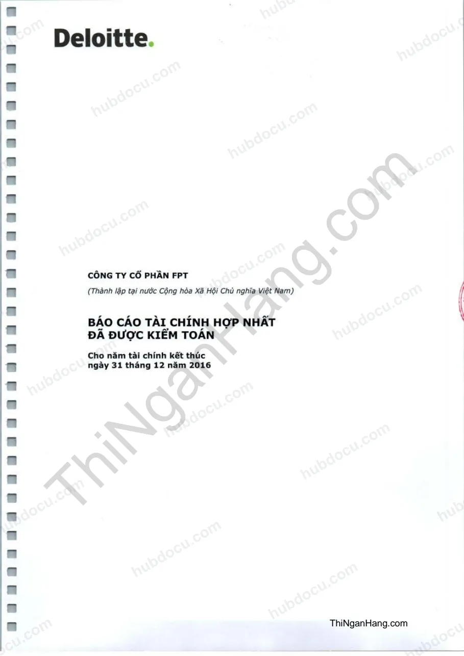 Báo cáo tài chính hợp nhất Cty cổ phần FPT
