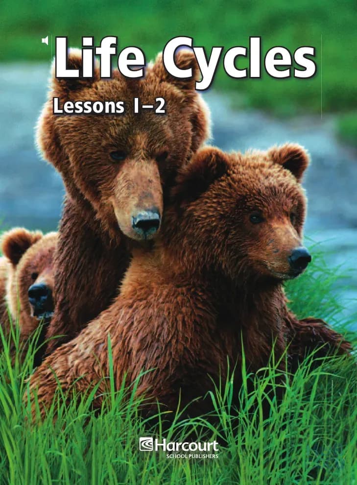 Life Cycles 1.pdf