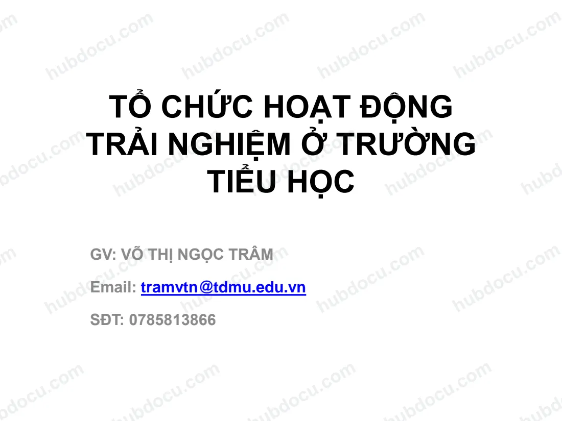 Tổ chức hoạt động trải nghiệm ở trường tiểu học