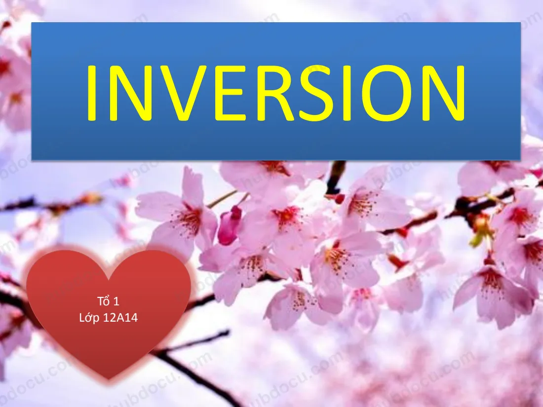 Inversion (Đảo ngữ)