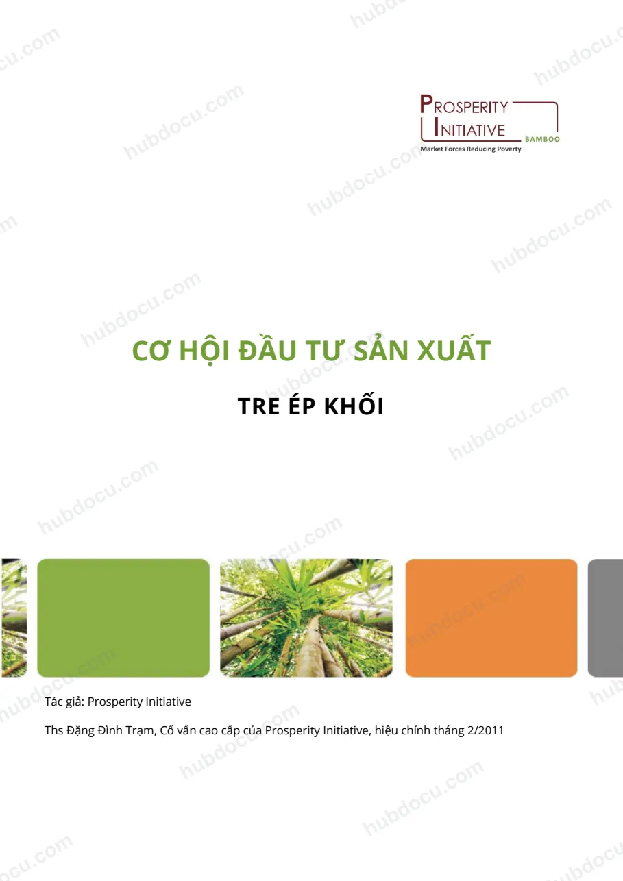 Báo cáo cơ hội đầu tư sản xuất tre ép khối