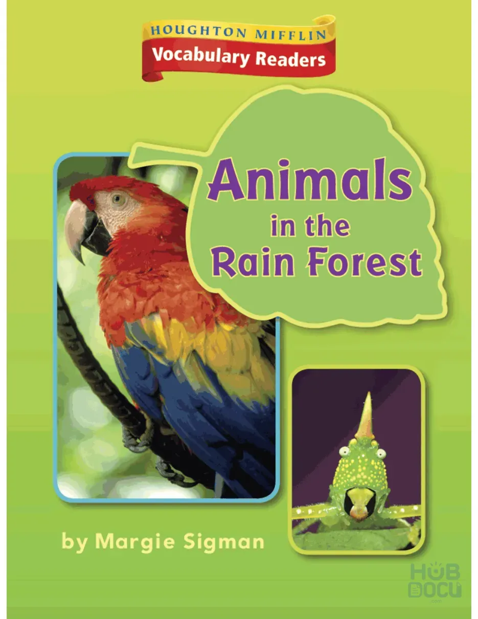 1.6.3 - Animals in the Rain Forest.pdf