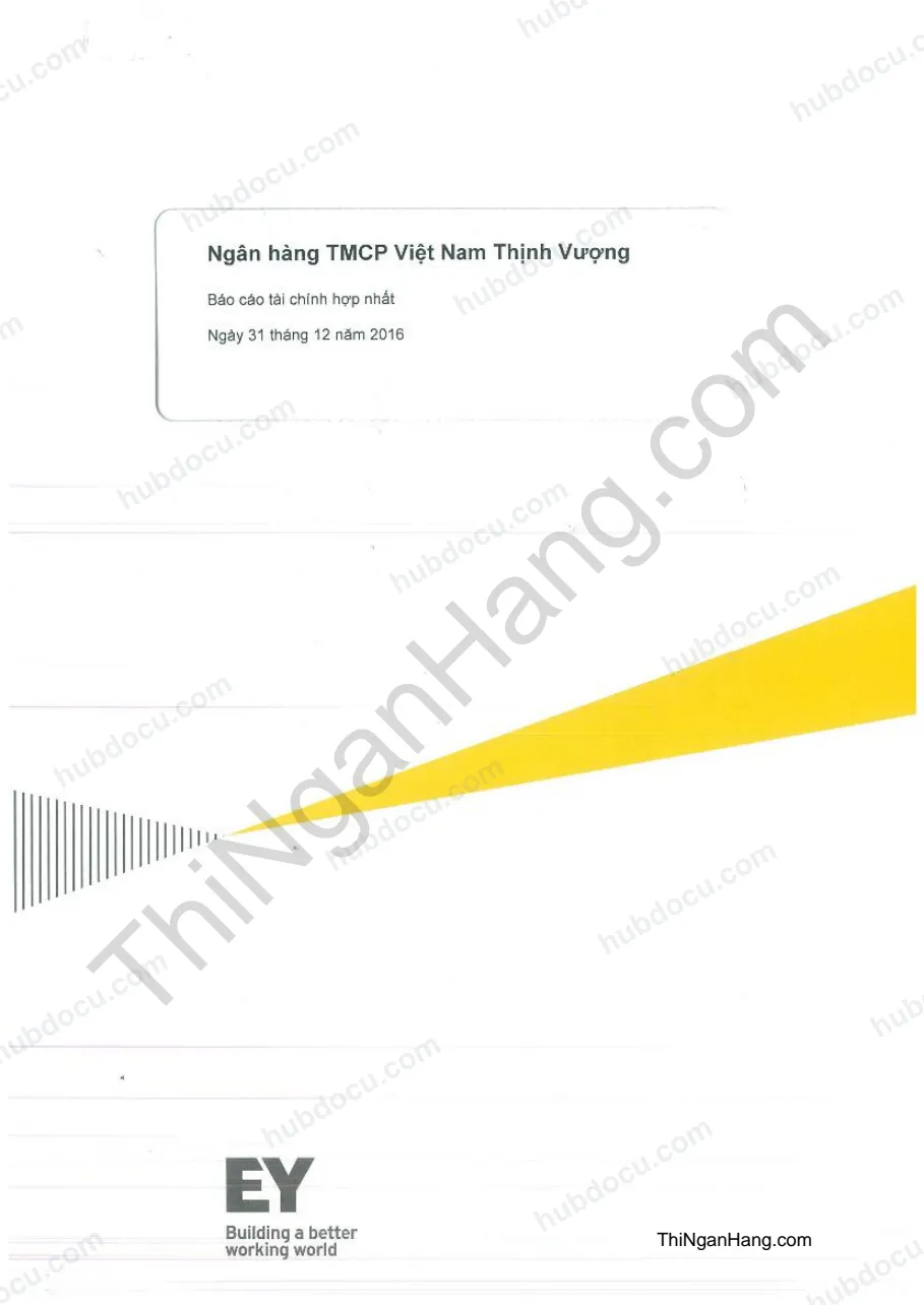 Báo cáo tài chính hợp nhất ngân hàng VPBank năm 2016