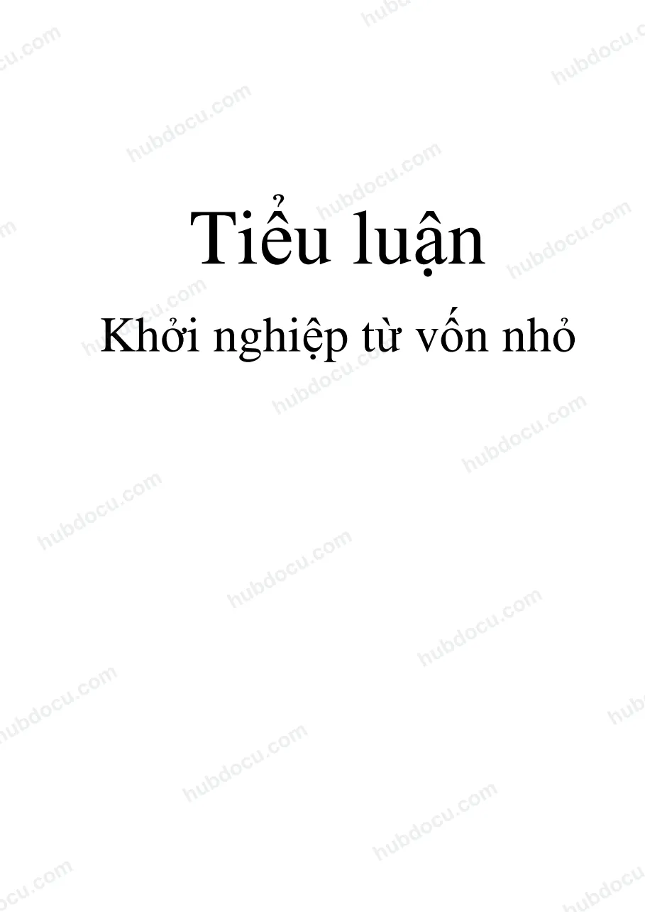 Tiểu luận - Khởi nghiệp từ vốn nhỏ