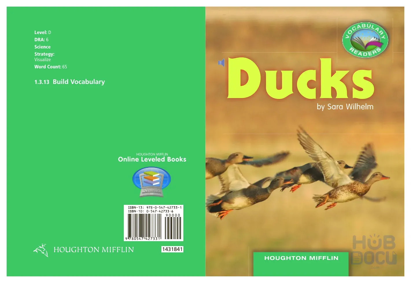1.3.13 Ducks (Science).pdf