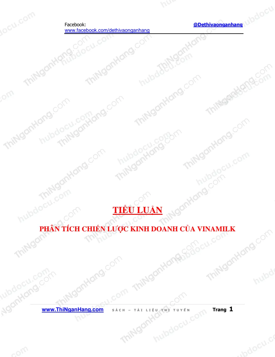 Tiểu luận - Phân tích chiến lược kinh doanh của Vinamilk