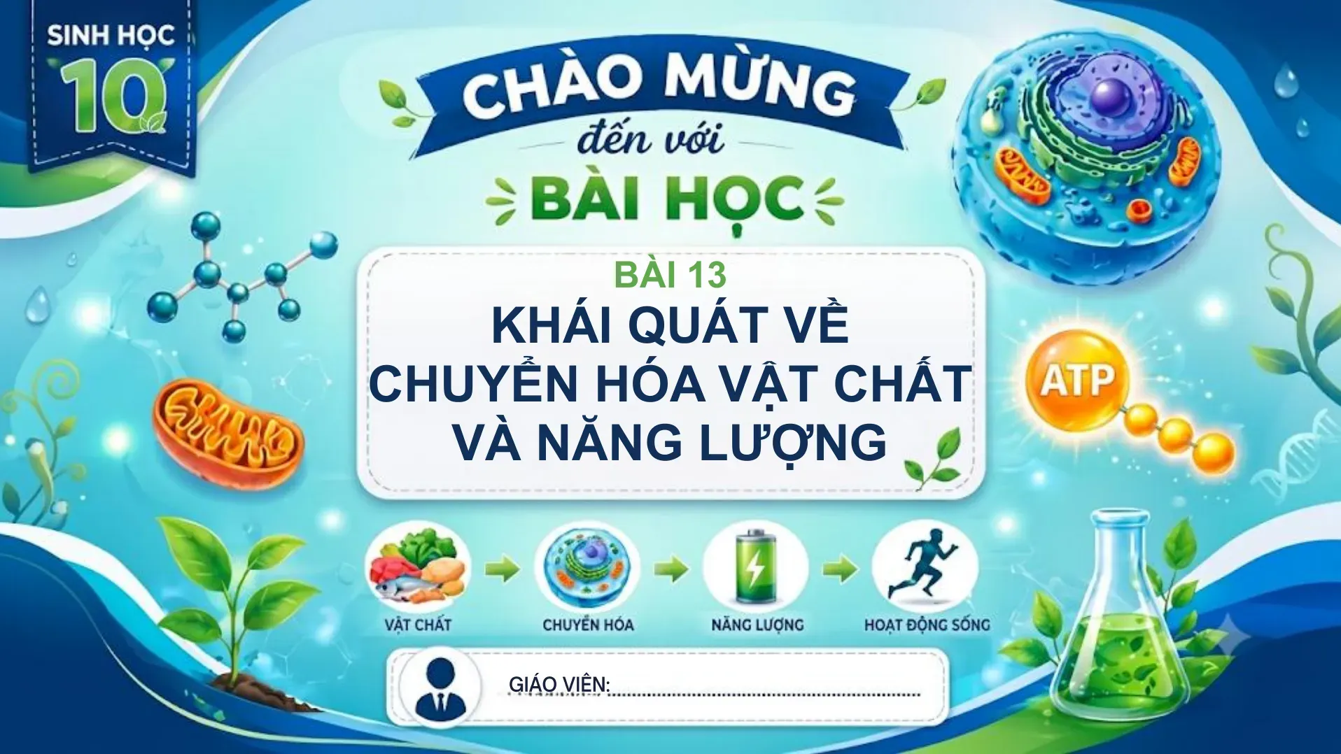 Sinh học Lớp 10 - Bài 13: Khái quát về chuyển hóa vật chất và năng lượng