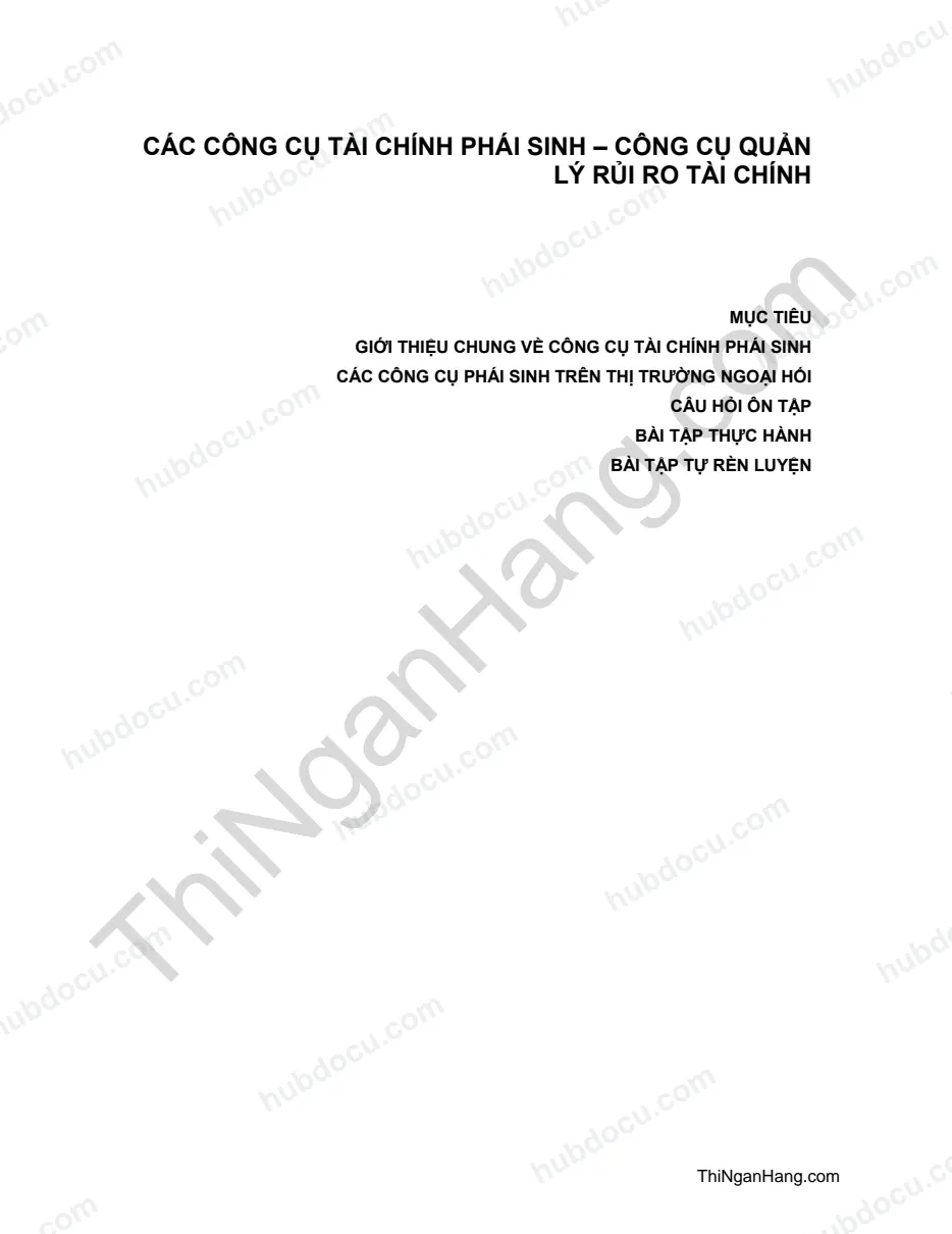 Công cụ tài chính phát sinh - Công cụ quản lí Rủi ro tài chính