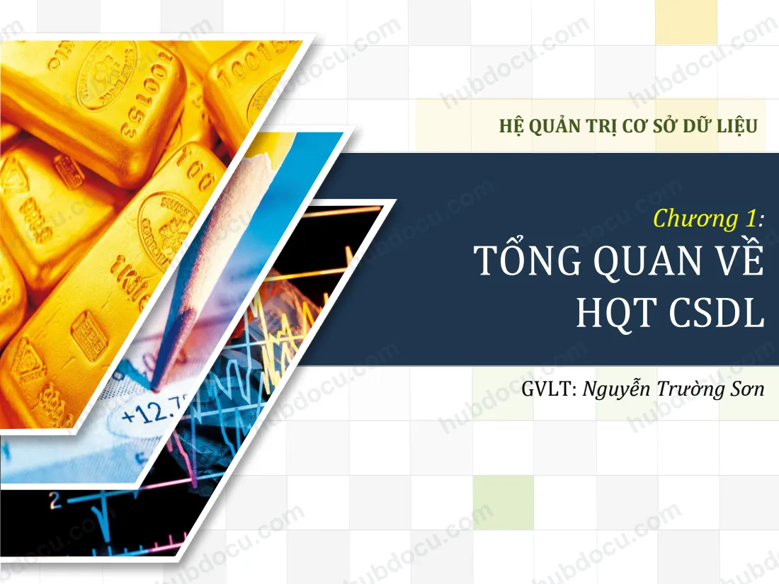 Bài giảng Hệ quản trị Cơ sở dữ liệu - Chương 1. Tổng quan
