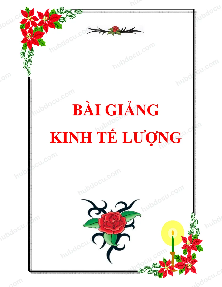 Bài giảng Kinh tế lượng