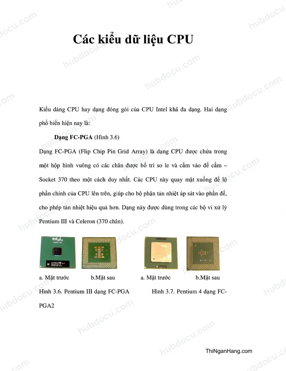 Các kiểu dữ liệu CPU