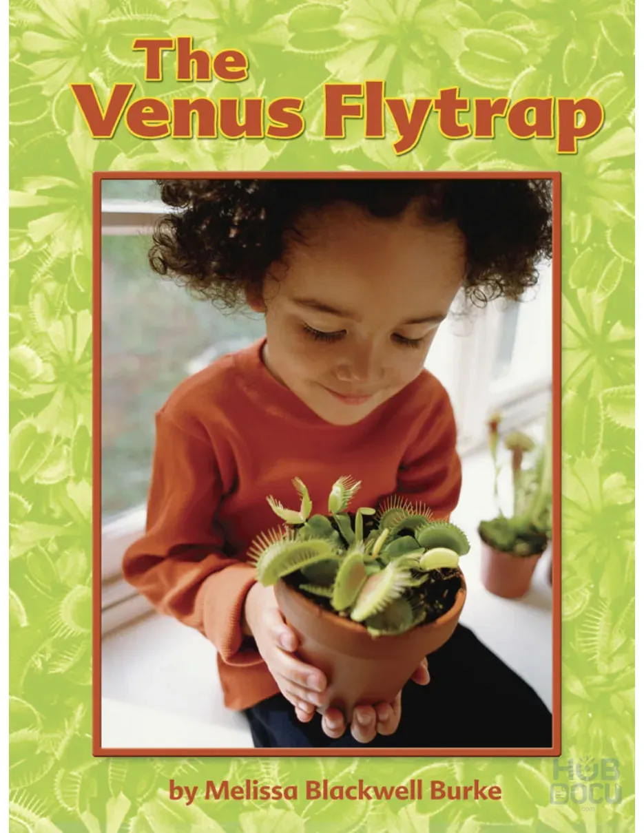 Life Science - Plant - The Venus Flytrap.pdf