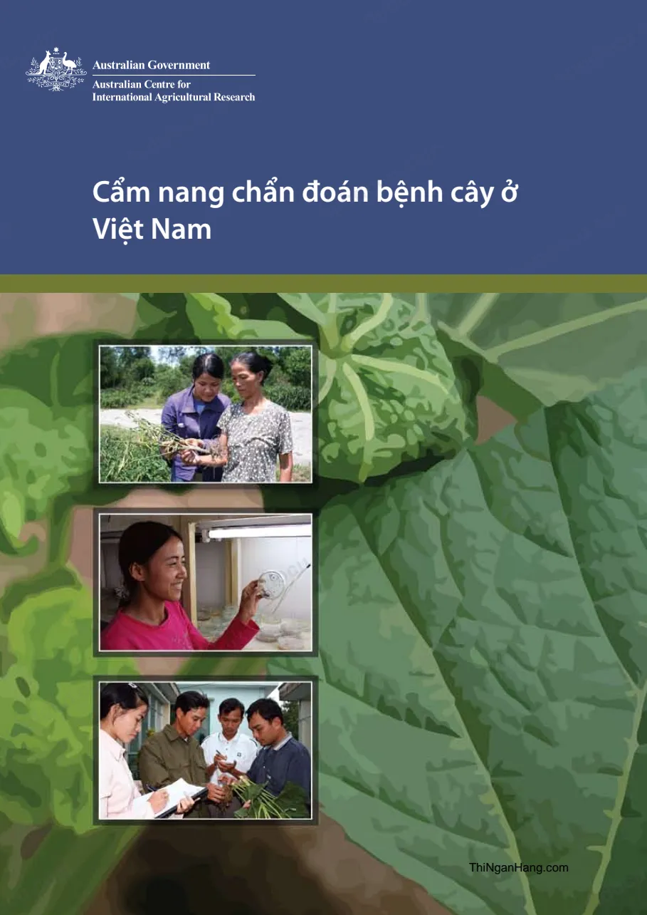Cẩm nang chuẩn đoán bệnh cây ở Việt Nam