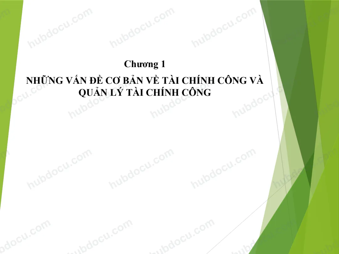 Bài Giảng - Quản Lý Tài Chính Công