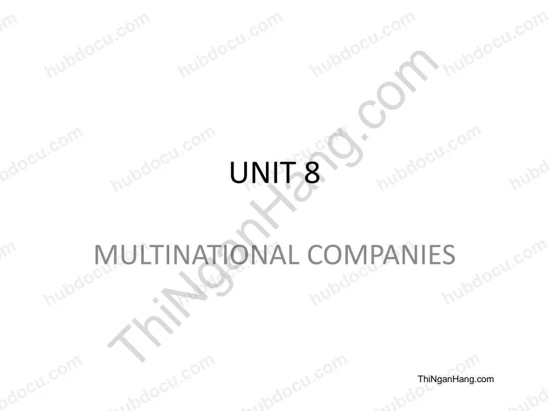 English Economics: Multinational companies