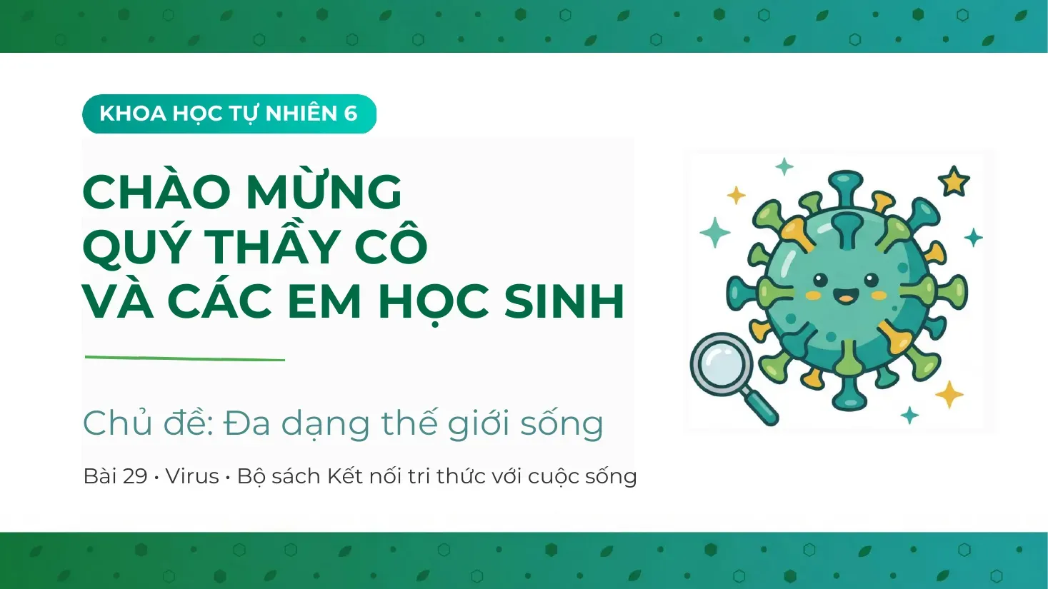 Khoa học tự nhiên Lớp 6 - Bài 29: Virus