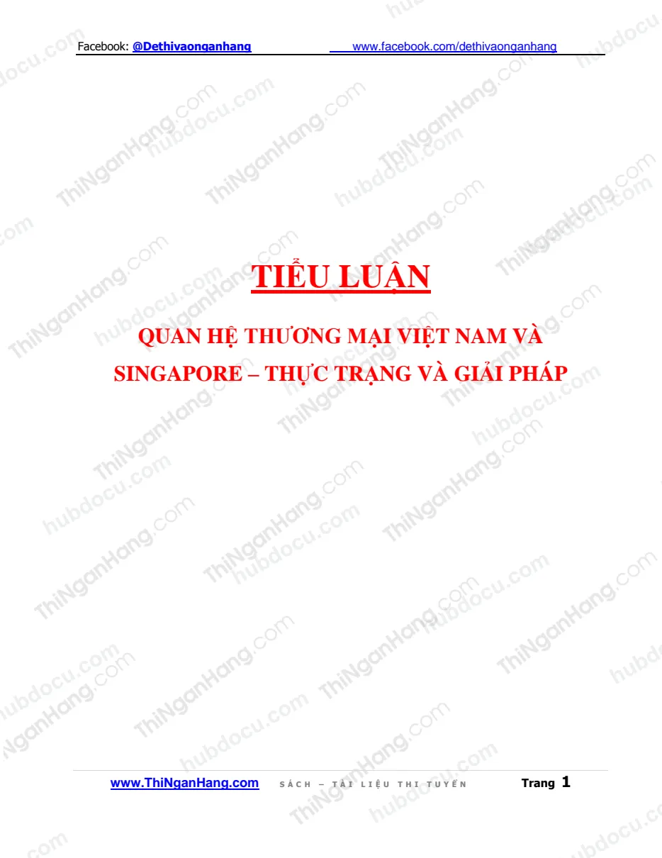 Tiểu luận - Quan hệ thương mại Việt Nam và Singapore_Thực trạng và giải pháp