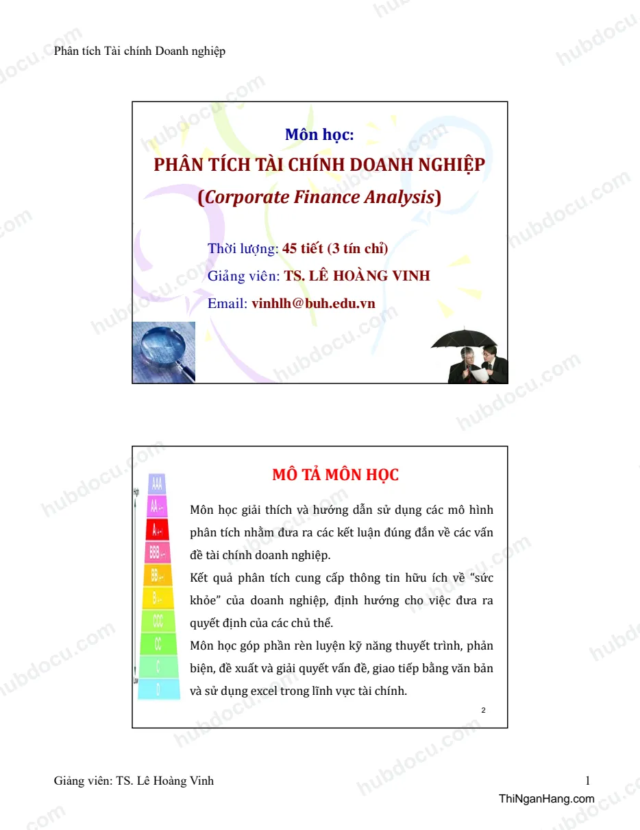 Phân tích tài chính doanh nghiệp (Corporate Finance Analysis) - TS Lê Hoàng Vinh