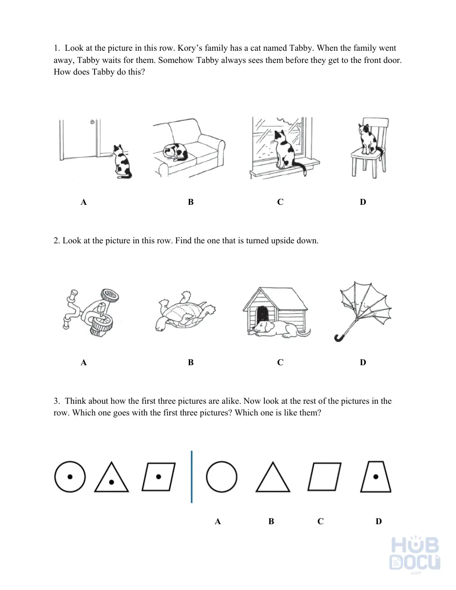 CogAT Sample - Brochure - Practice - G2.pdf