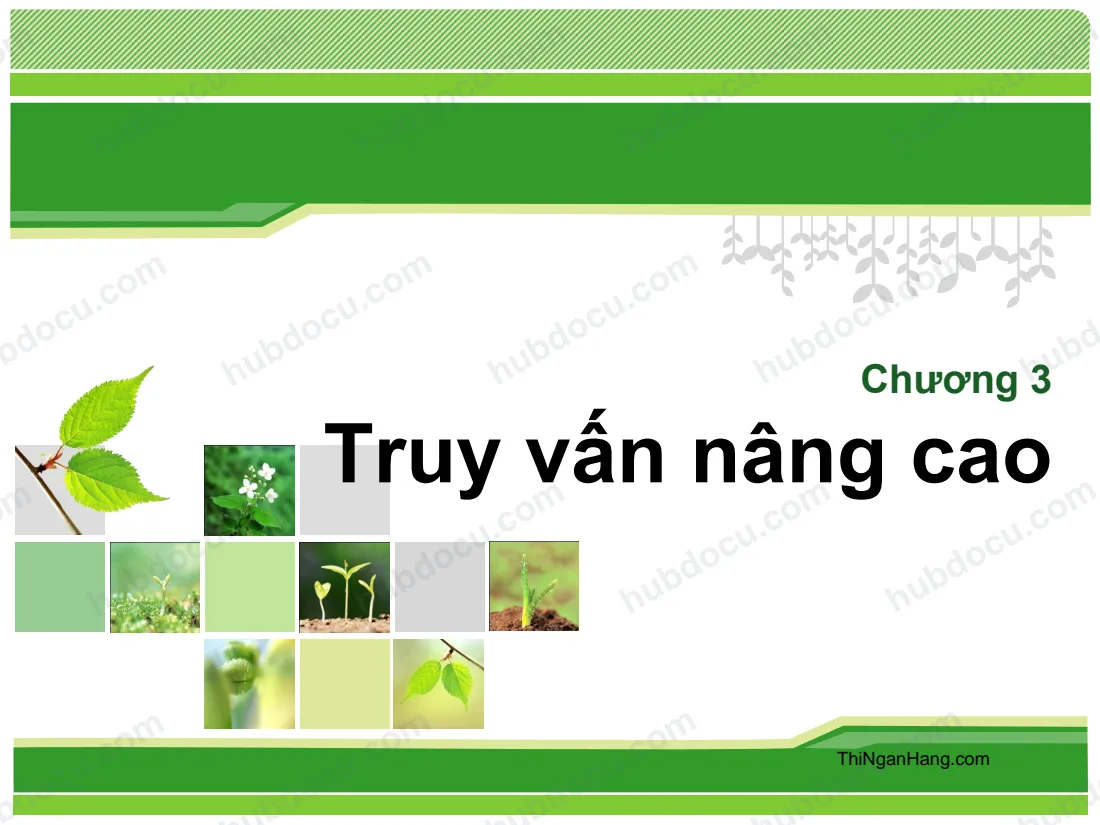 Truy vấn nâng cao trong SQL server