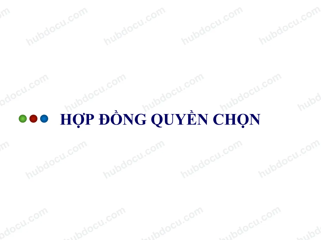Chương 5. Hợp đồng quyền chọn (Option)
