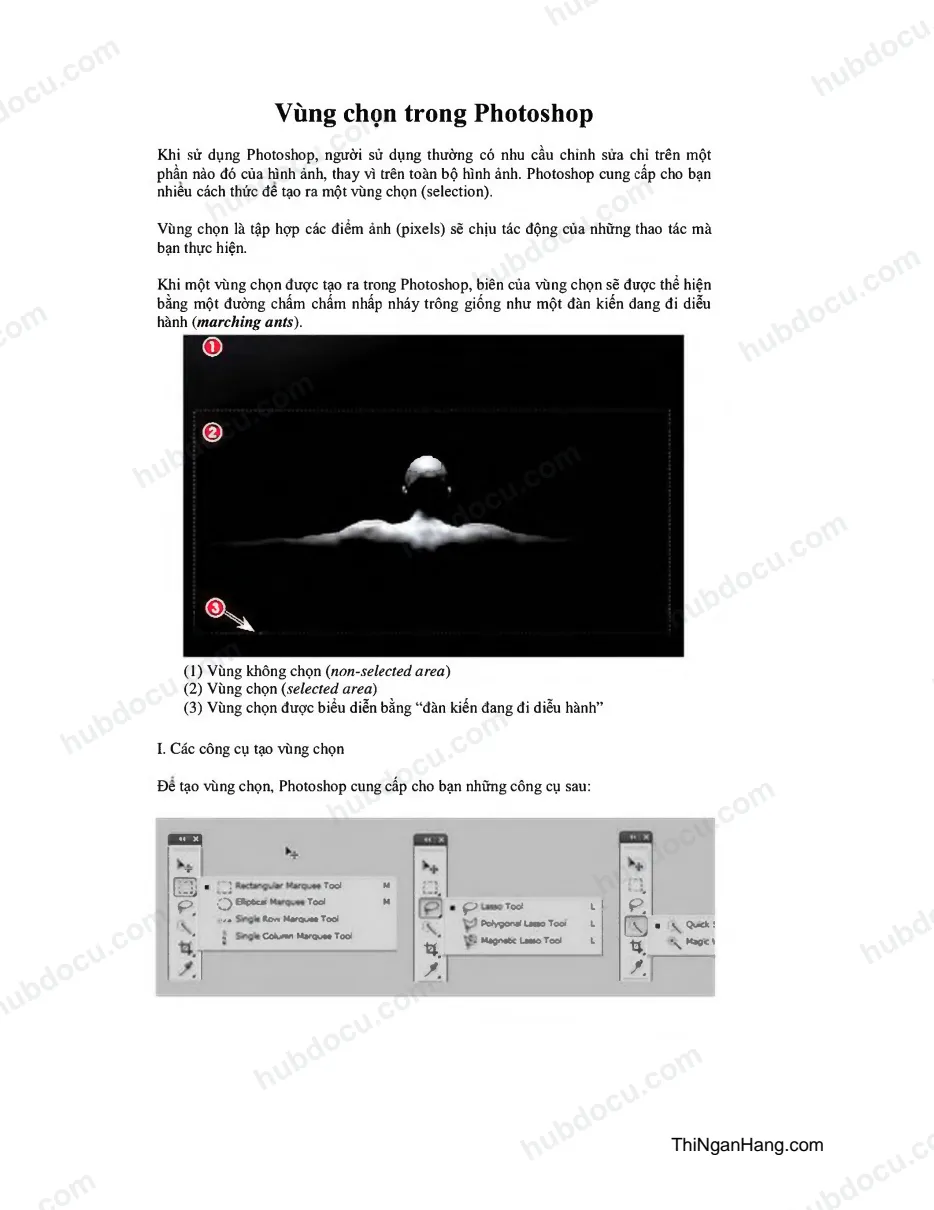 Vùng chọn trong Photoshop