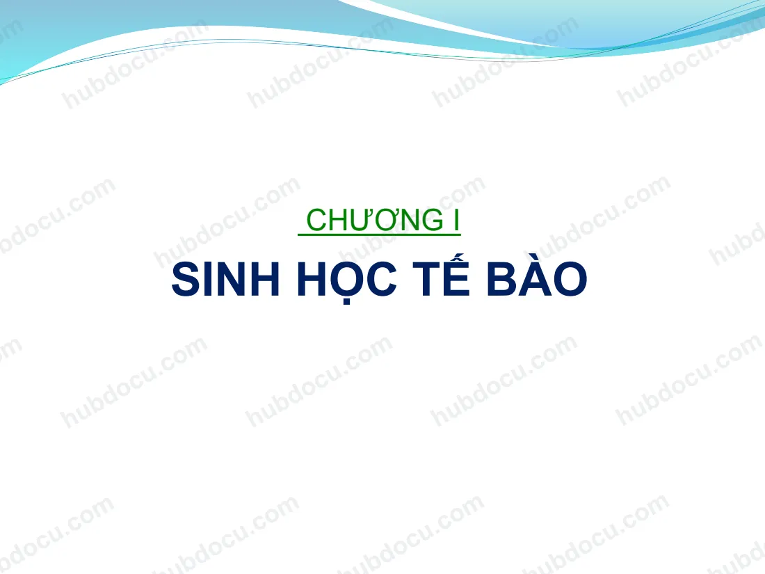 Cấu trúc và chức năng sinh lý của tế bào