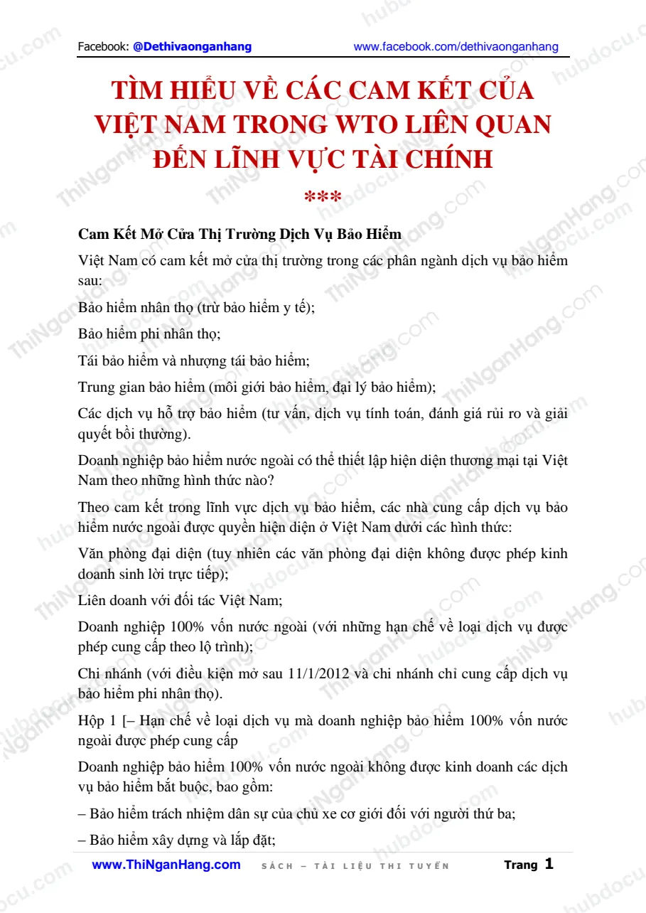 Tìm hiểu về các cam kết của Việt Nam trong WTO liên quan đến lĩnh vực tài chính