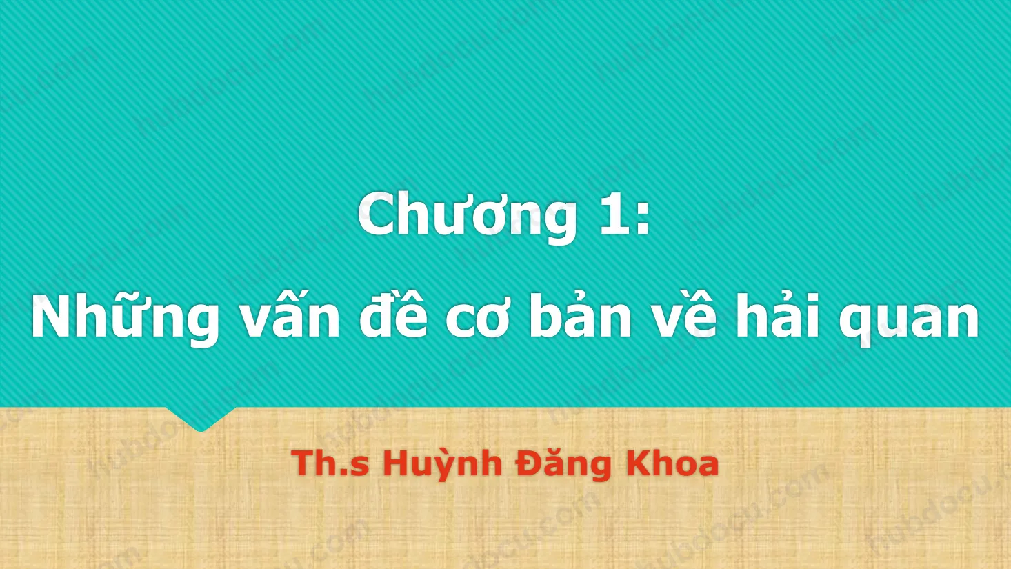 Chương 1 - Những vấn đề cơ bản về thủ tục hải quan