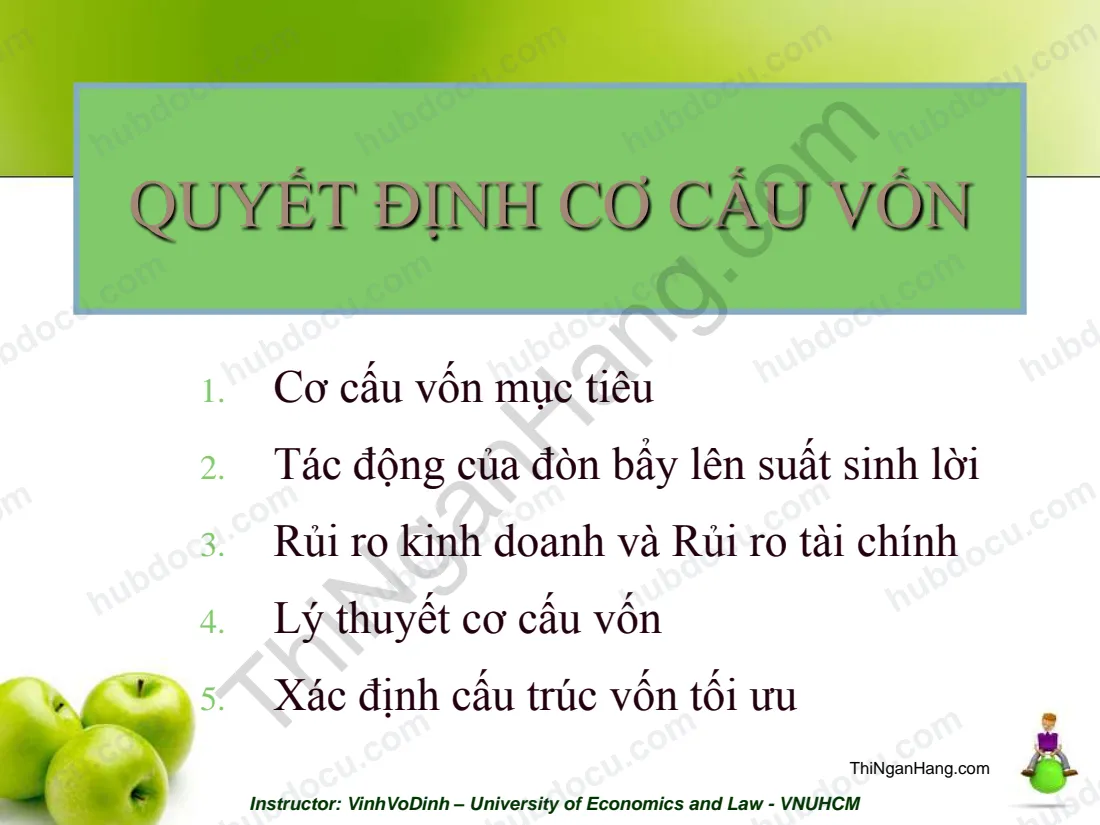 Quyết định cơ cấu vốn - Lý thuyết tài chính doanh nghiệp
