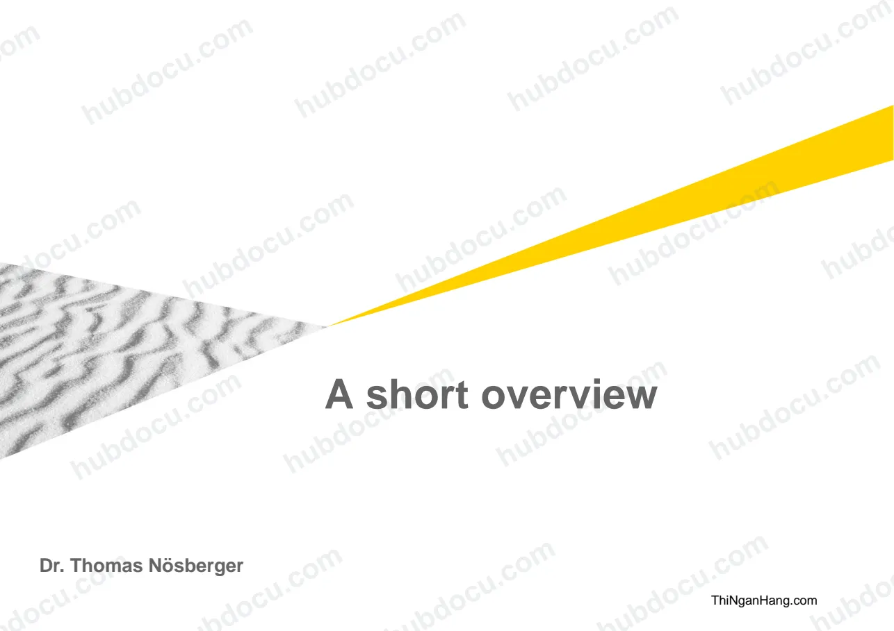 Ernst and Young (EY) Audit Methodology - Nguyên tắc Kiểm toán