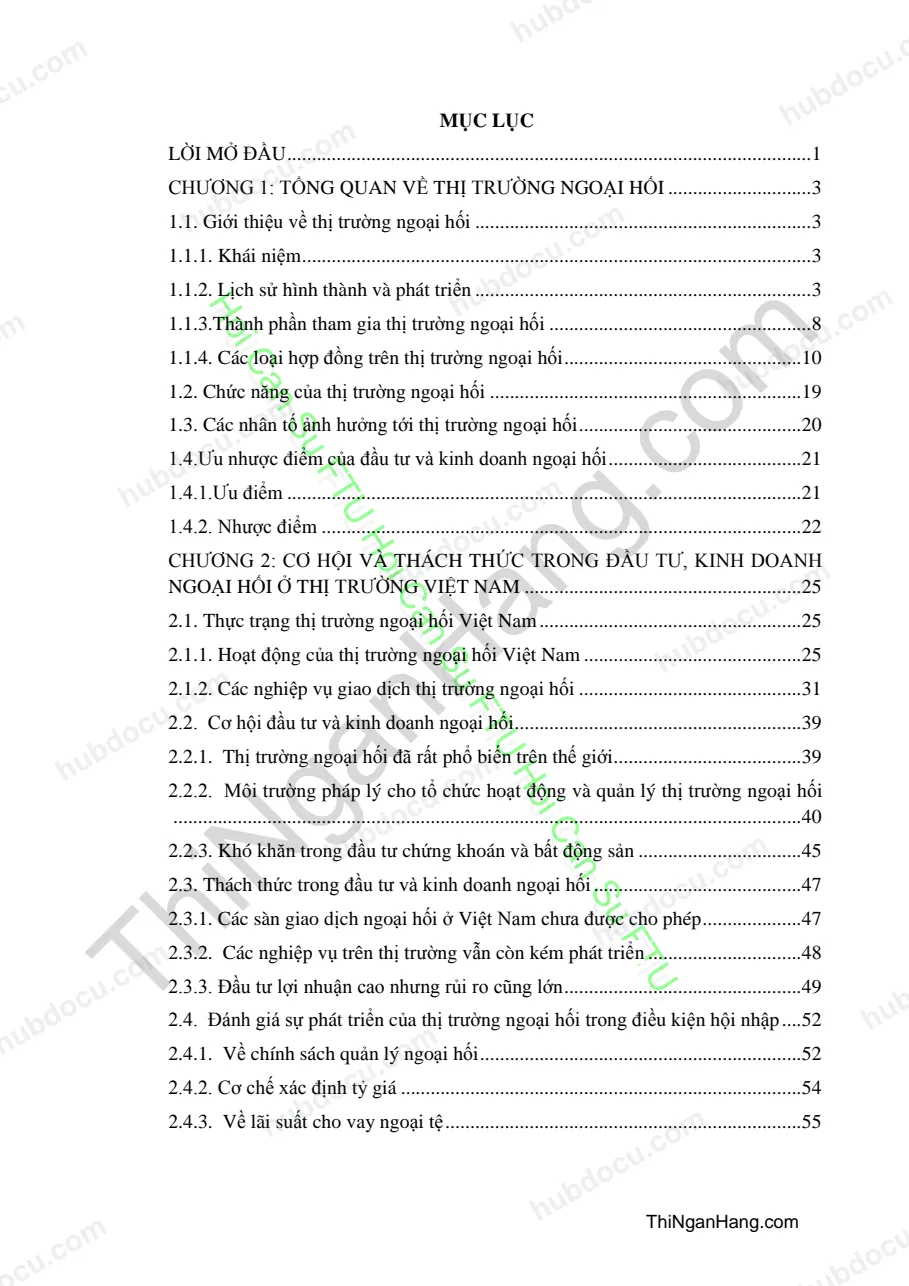 Khóa luận - Cơ hội và thách thức trong lĩnh vực đầu tư, kinh doanh ngoại hối ở Việt Nam