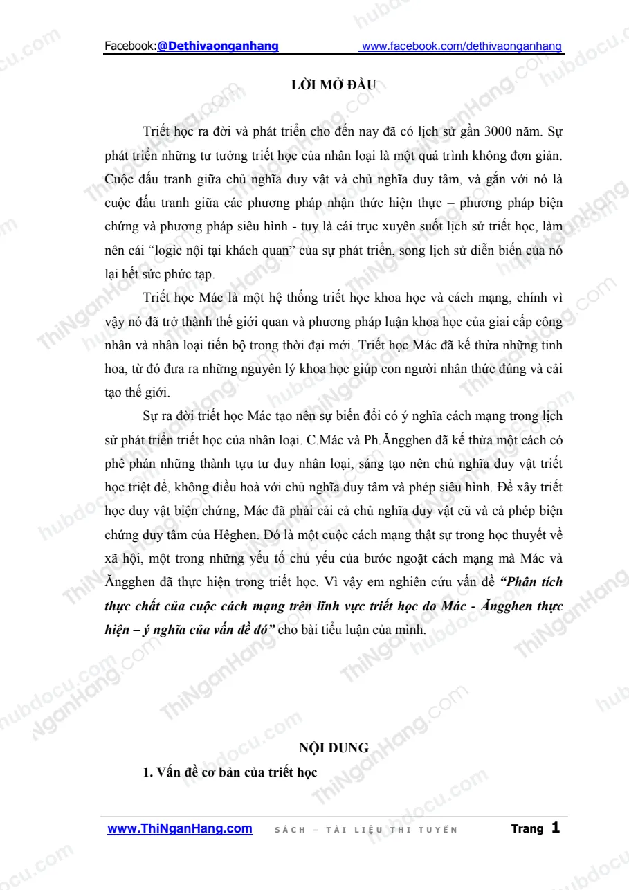Tiểu luận - Phân tích thực chất của cuộc cách mạng trên lĩnh vực triết học do Mác - Ăngghen thực hiện – ý nghĩa của vấn đề đó