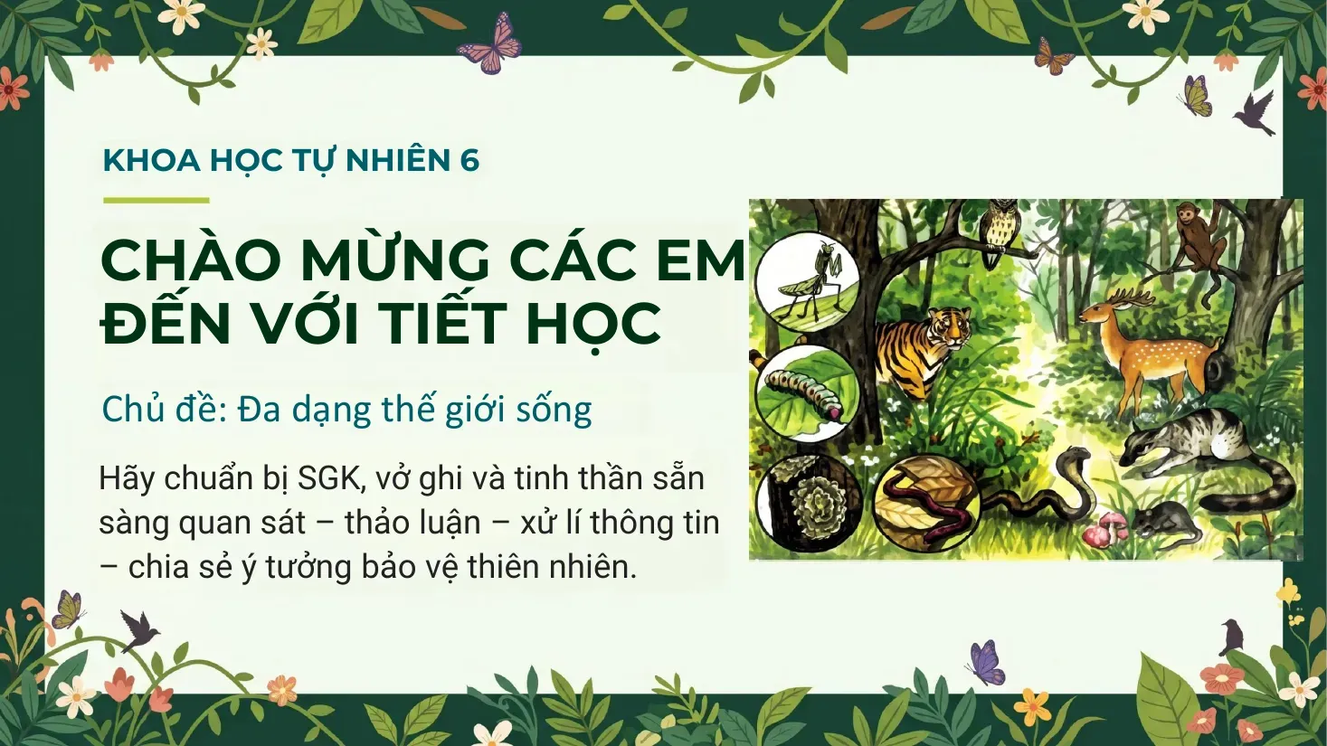 Khoa học tự nhiên Lớp 6 - Bài 38: Đa dạng sinh học