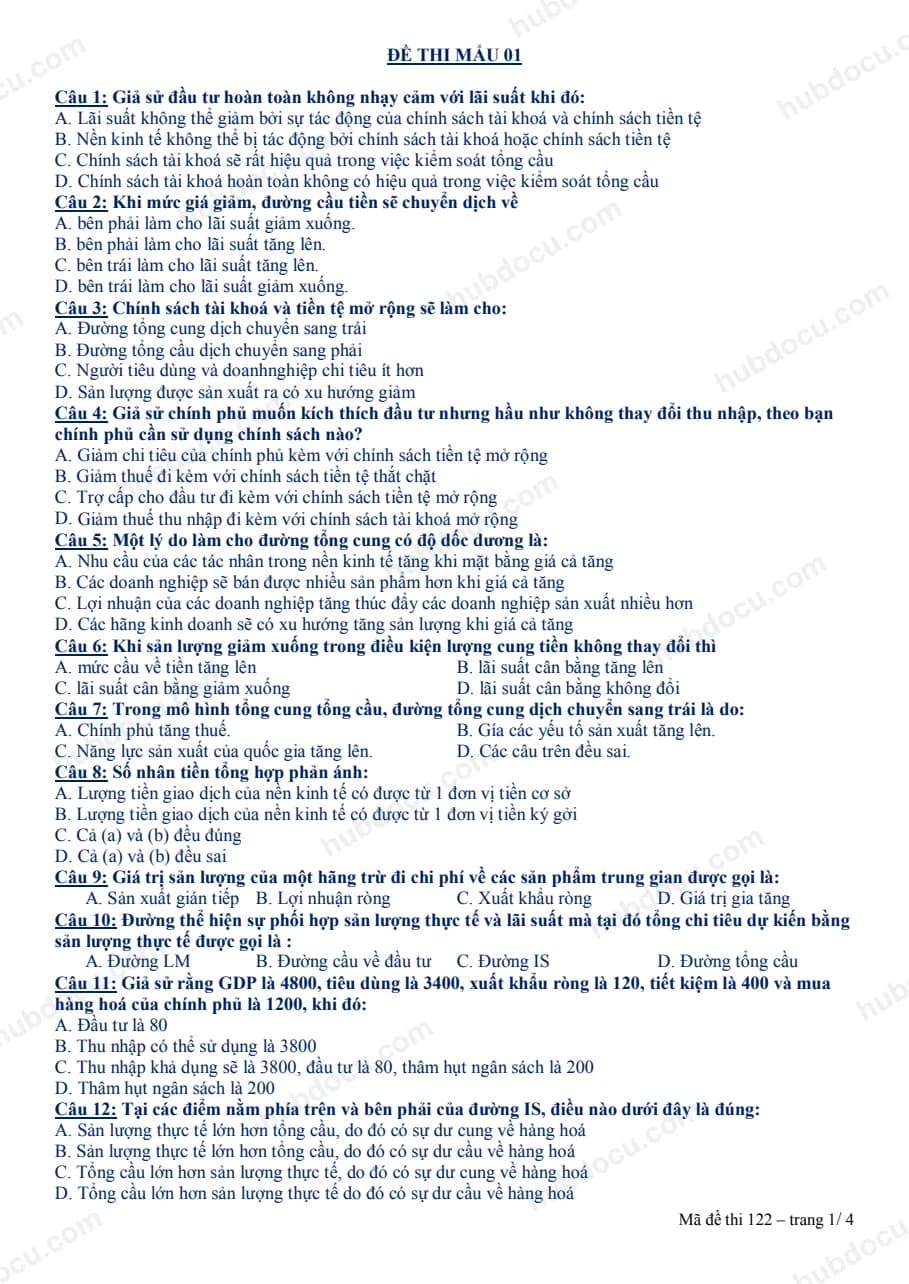 Đề Thi Kinh Tế Vĩ Mô (Có đáp án)