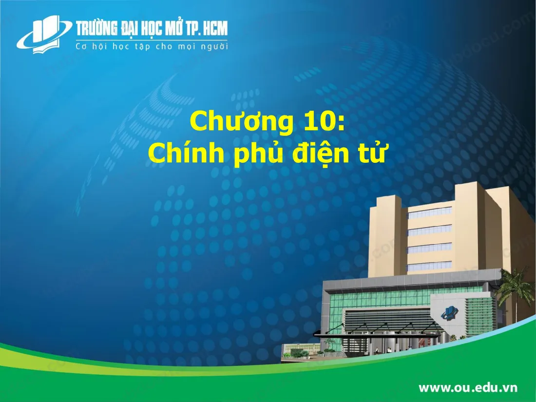 Bài Giảng - Chính Phủ Điện Tử