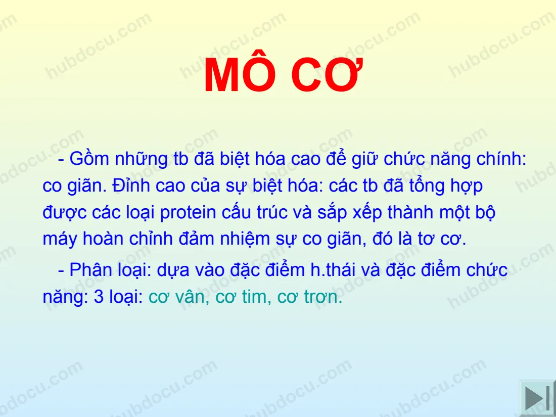 Bài Giảng Mô Cơ