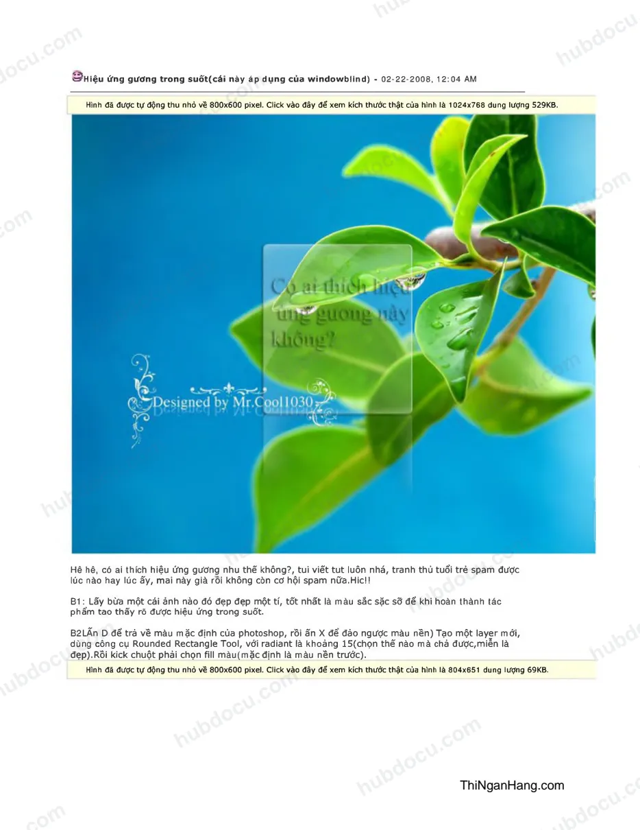Hiệu ứng ảnh tấm gương