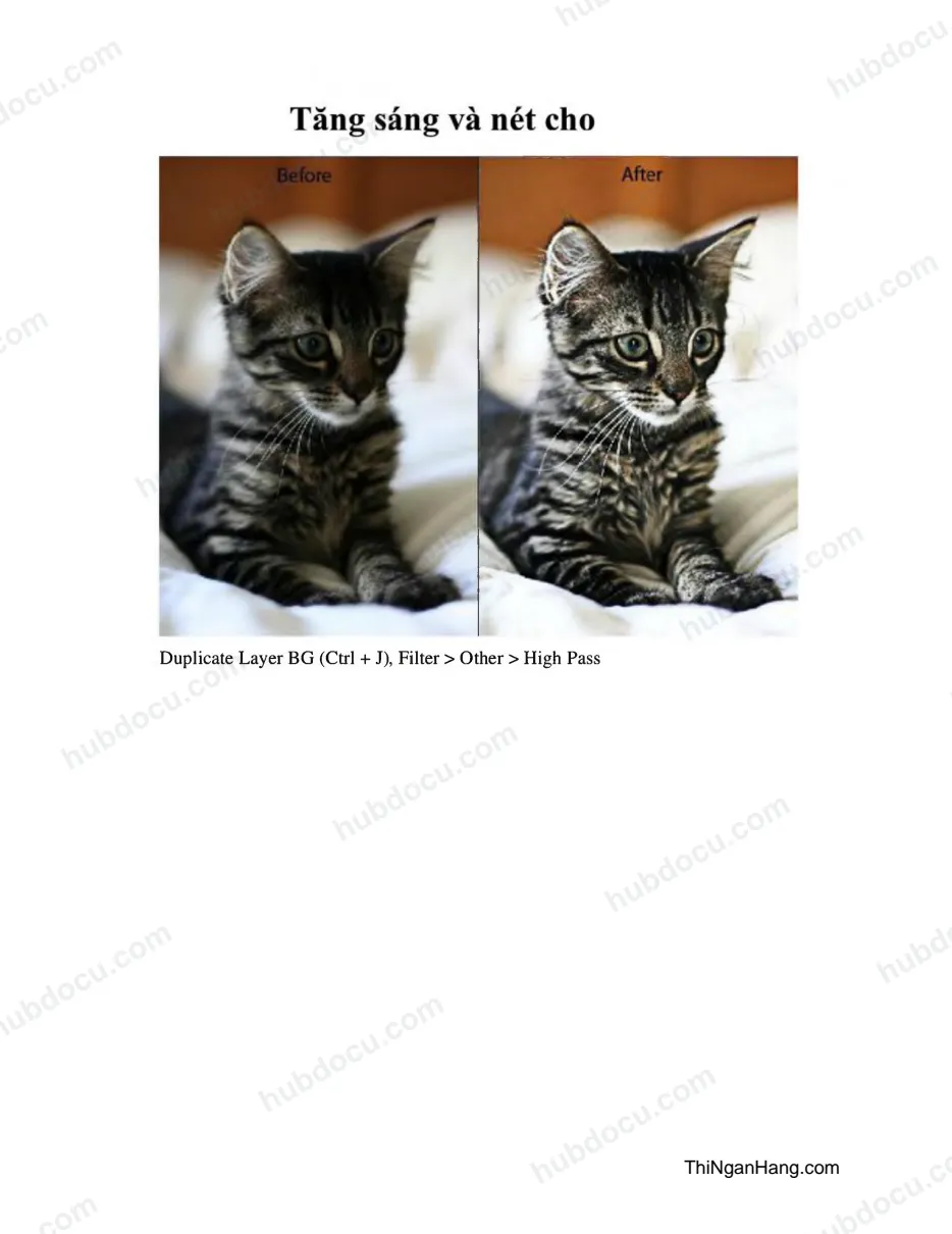 Tăng ánh sáng và nét trong photoshop