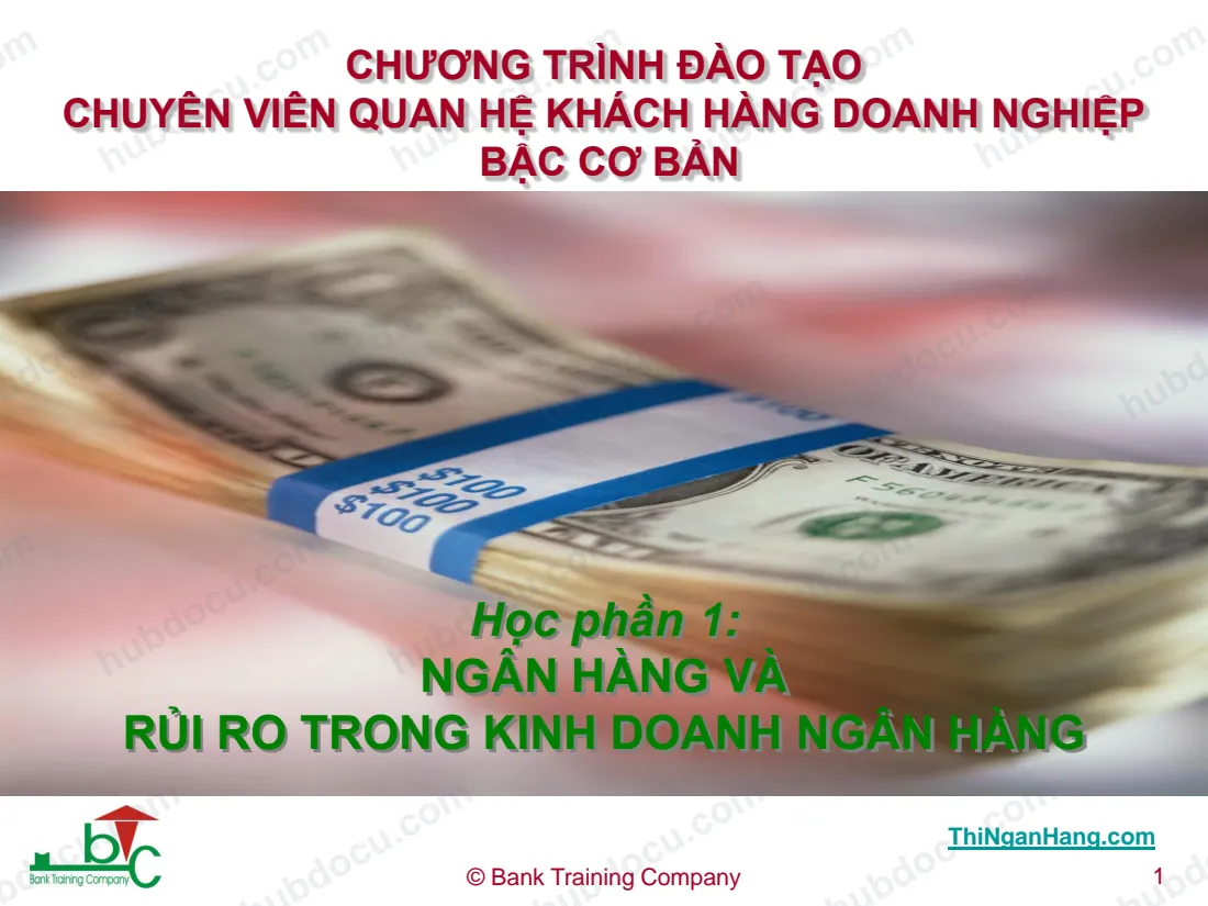 Slide Ngân hàng và Rủi ro trong kinh doanh ngân hàng