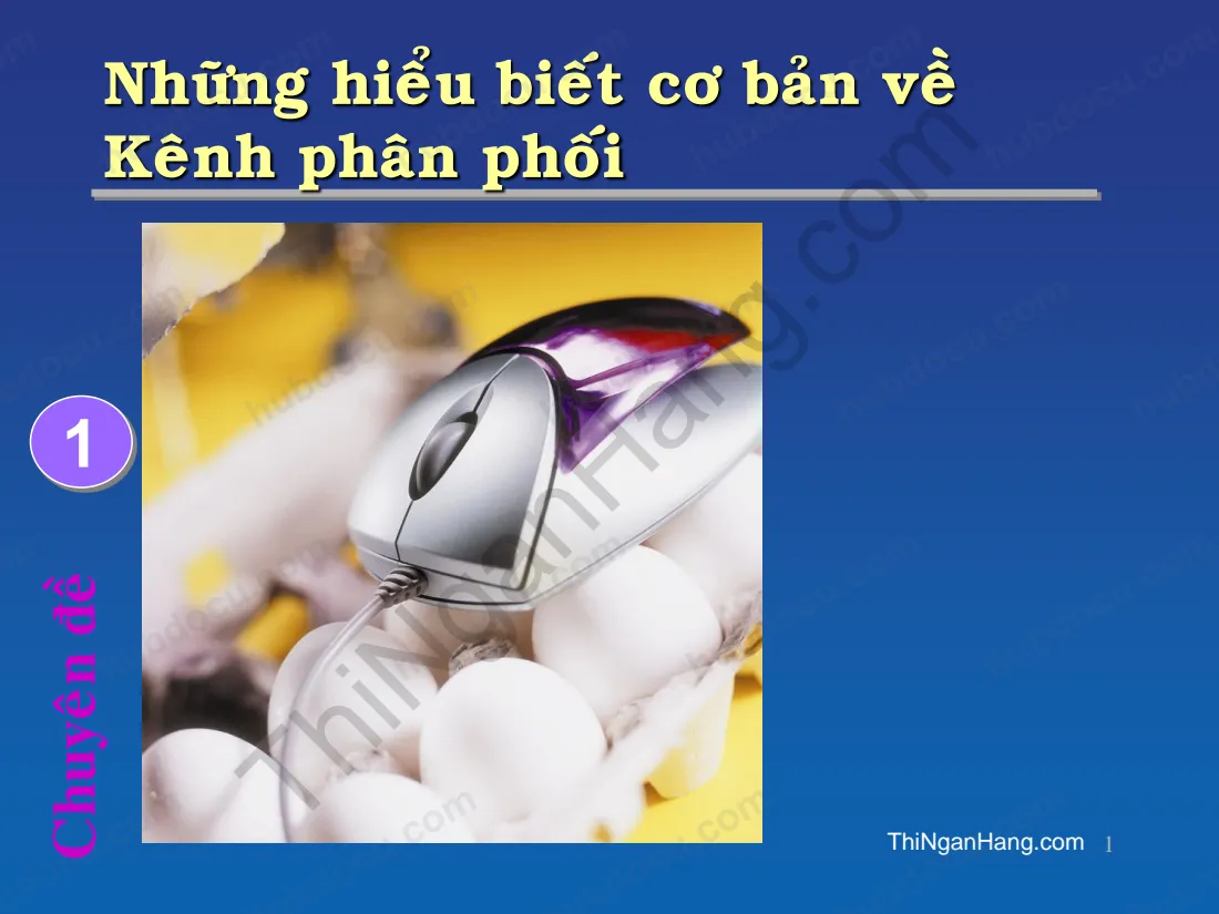 Những hiểu biết cơ bản về kênh phân phối