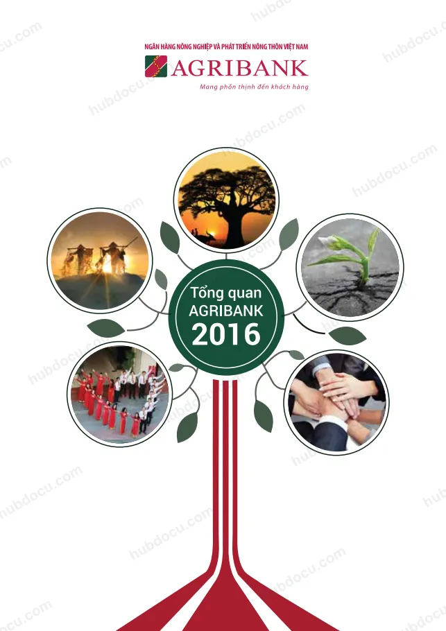 Tổng quan về Agribank 2016