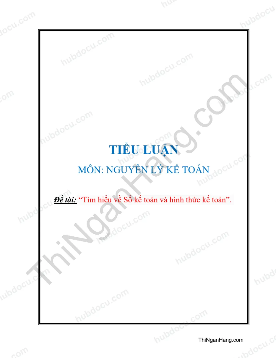 Tiểu luận - Tìm hiểu về Sổ kế toán và hình thức kế toán