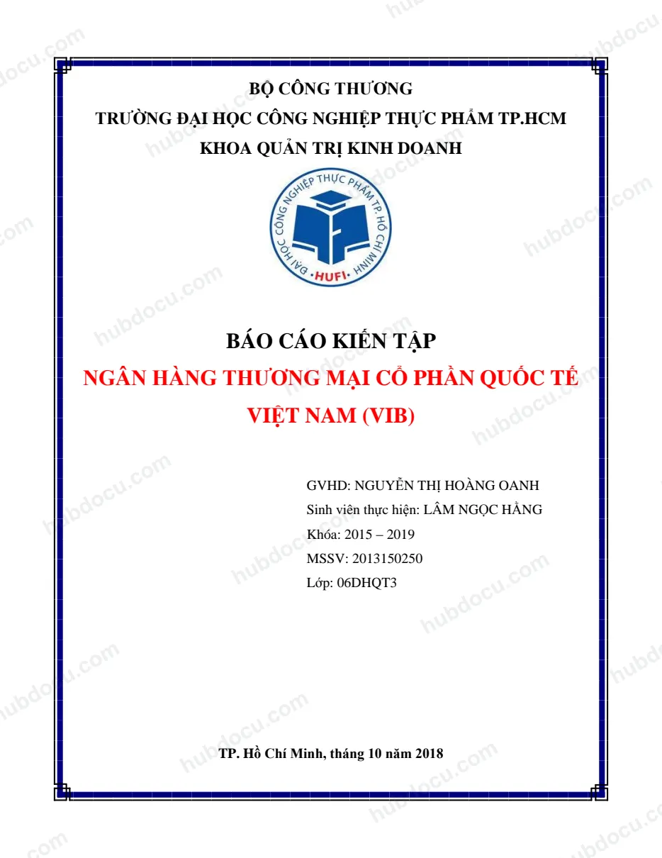 Báo cáo kiến tập - Ngân hàng TMCP Quốc tế (VIB)