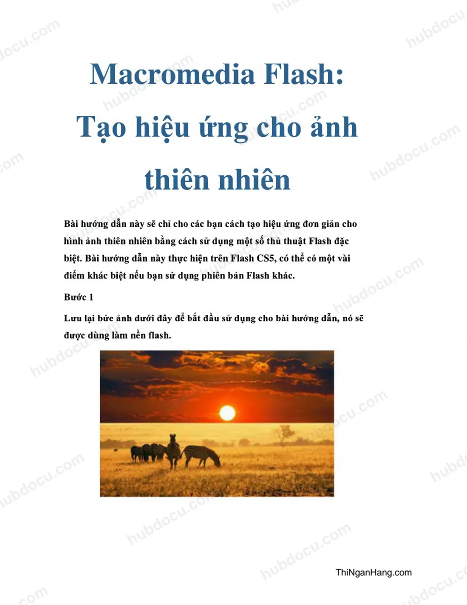 Macromedia Flash: Tạo hiệu ứng cho ảnh thiên nhiên
