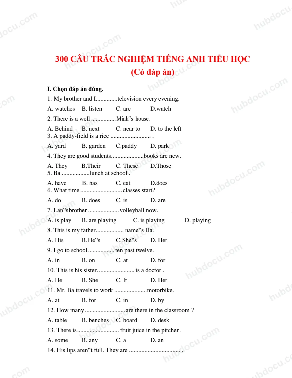 Bộ 300 câu trắc nghiệm Tiếng Anh (có đáp án) - Thi công chức tiểu học